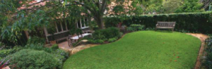 Green scene